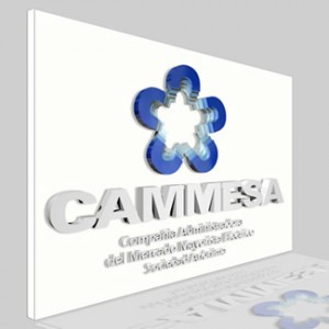 logo-CAMMESA