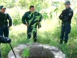 aljibe-cadáver-periodista