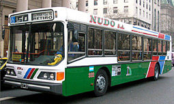 colectivo-linea-50