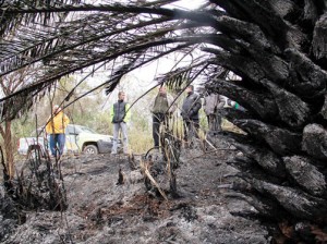 Restos-humanos-en-la-Reserva-Ecológica