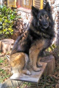 Titán
