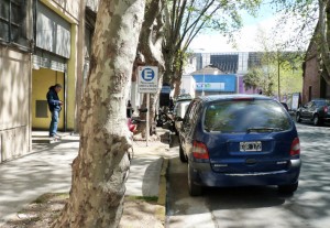 infractor-municipio-02-web