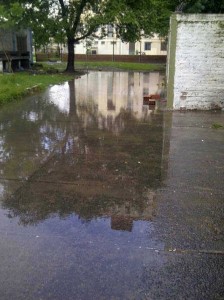 1379581_10201899953796750_6