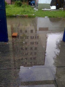 1466230_10201899955876802_1