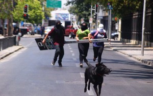 Matapaco