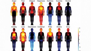 calor-y-emociones