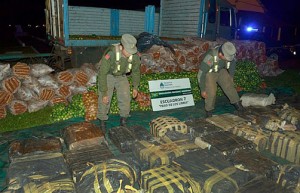 mandioca-y-marihuana