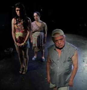 La-persistencia-de-los-grillos