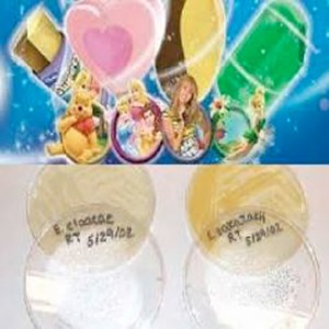 helados-contaminados