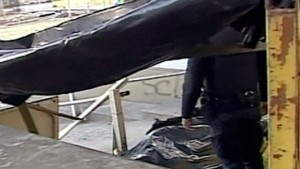 cuerpo-Plaza-Houssay