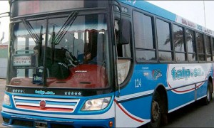 Línea-338