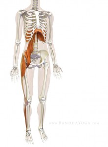 psoas-01
