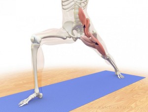 psoas-02