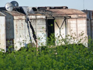 incendio-vagón-Gerli-menor-muerto