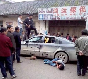 comida-perros-china-07