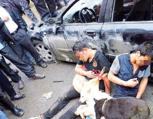 comida-perros-china-09