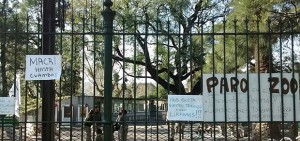 reclamo-trabajadores-zoo