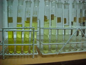 image004