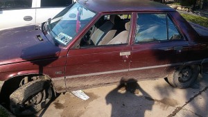 hecho-cria-San-Jose-1