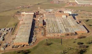 ceramista-cerro-negro