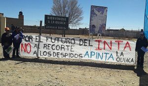 apinta